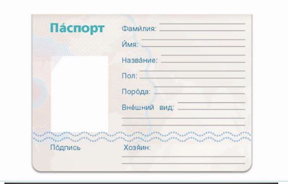 Центр содействия развитию детей и молодежи город Москва Всероссийский конкурс "Мой питомец" 2022