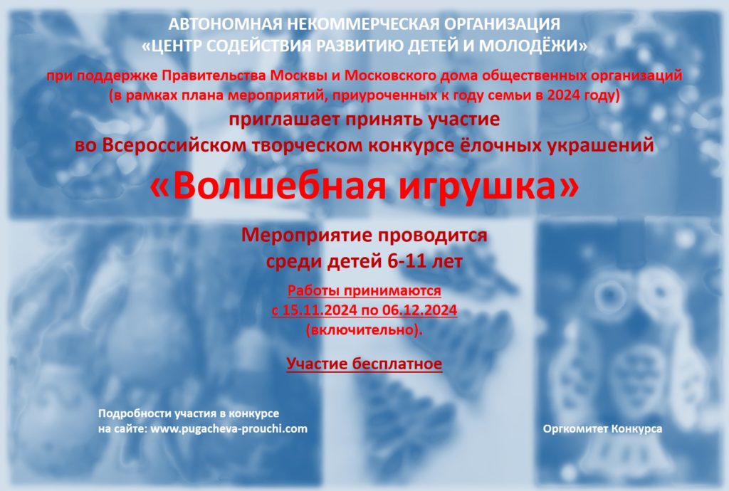 Центр содействия развитию детей и молодежи город Москва. Конкурс "Волшебная игрушка"